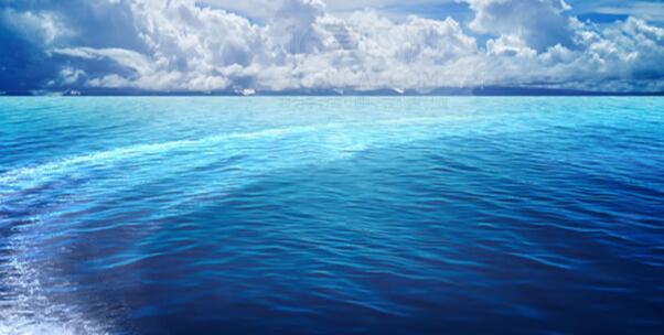 世界海洋日是哪天(世界海洋日在幾月幾日)